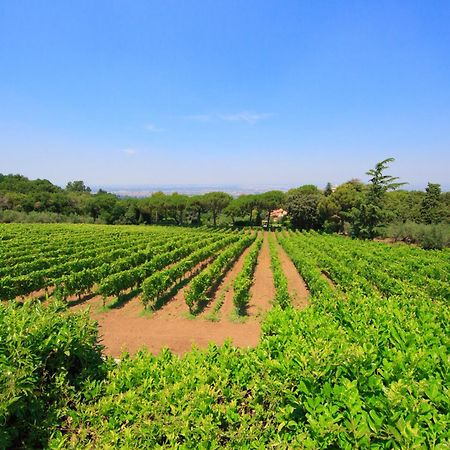 Frascati Country House Grottaferrata Exterior photo